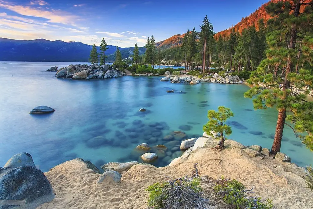Are There Bull Sharks in Lake Tahoe?