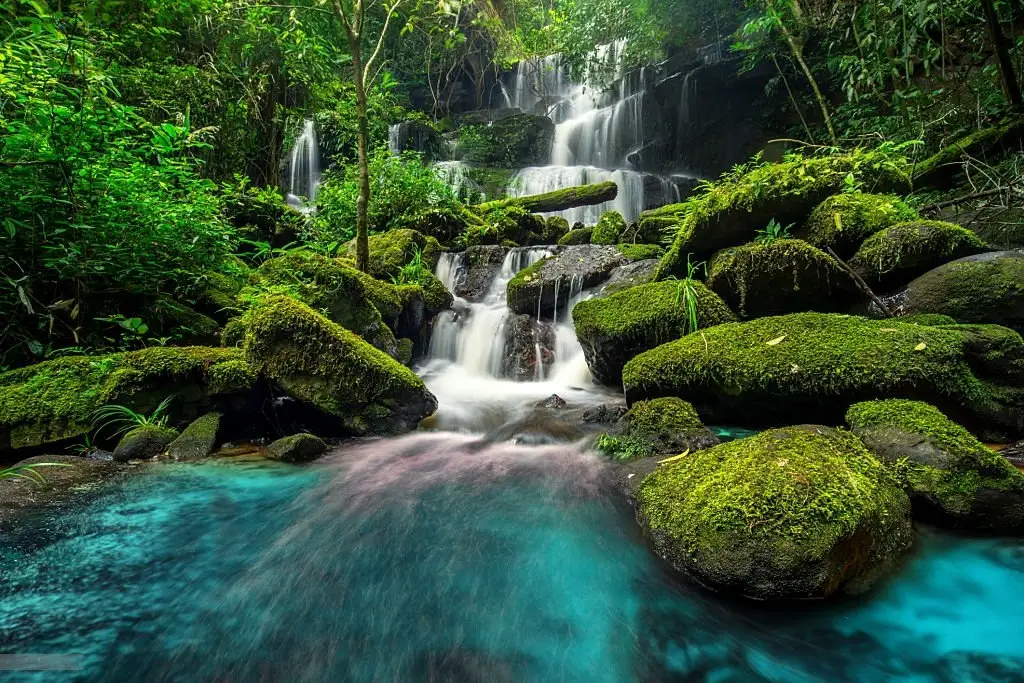 Waterfall in Mexico (10 Best You Need to See)