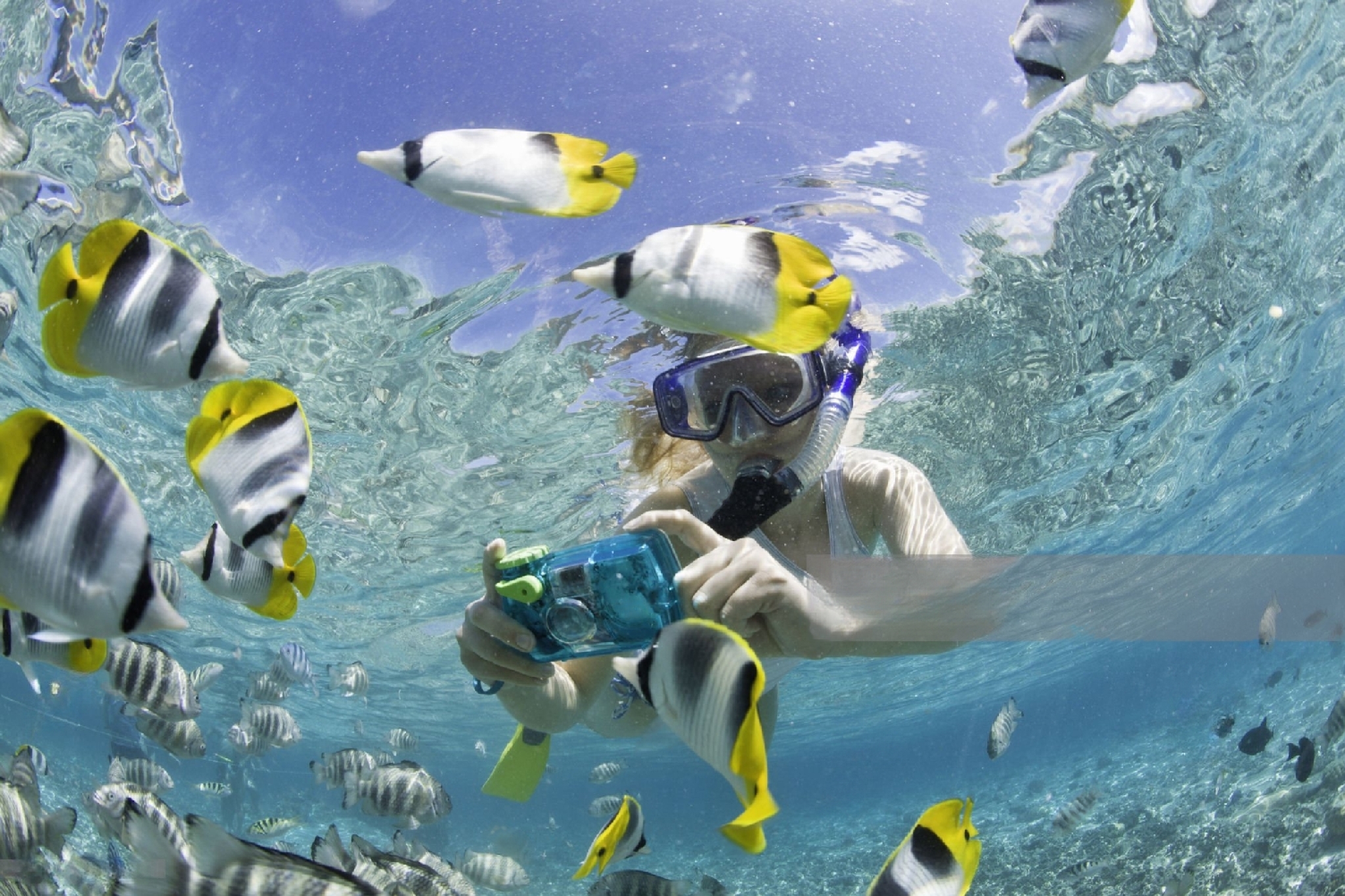 Discover Your Dream Vacation Which Airlines Fly to Bora Bora?