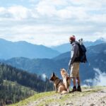 Backpacking with Dogs | 14 Awesome Tips for Safe and Fun Adventures