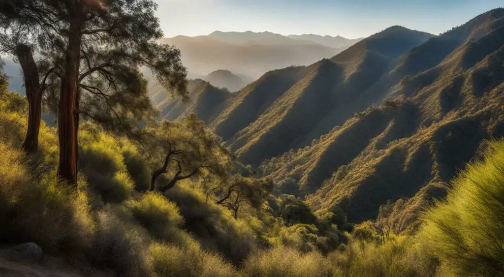 Angeles National Forest trail